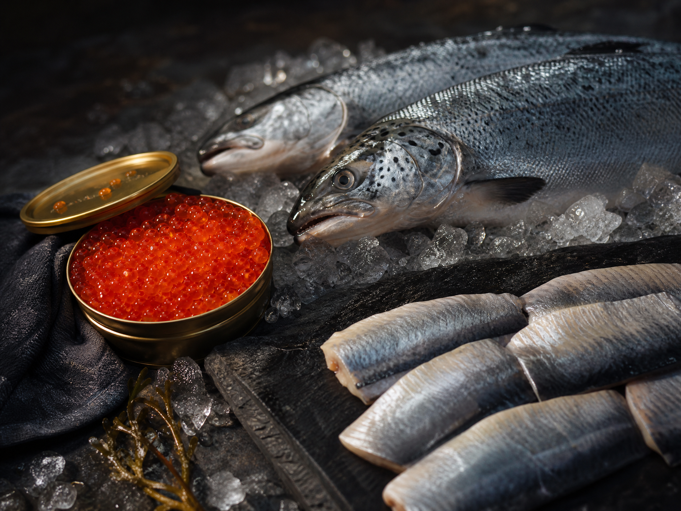 Seafood and caviar