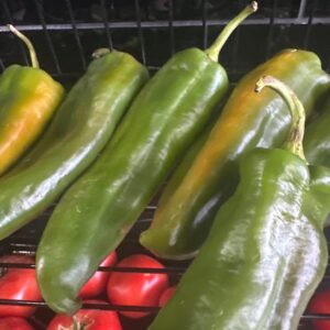 Anaheim Pepper