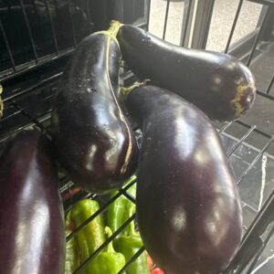 Eggplant